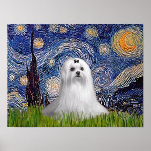 マルチーズ(C) – スターリーナイト ポスター (正面)