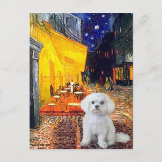 マルチーズ(R) – テラスカフェ ポストカード (正面)