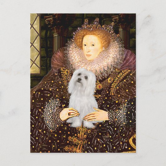 マルチーズ(SD) – クイーン ポストカード (正面)