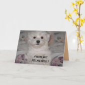 マルチーズGet Well Soon Card カード (黄色い花)