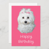 マルチーズLi白い子犬の写真 シーズンカード (正面/裏面)