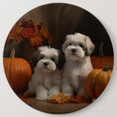 マルティツパピー秋デライトカボチャ 缶バッジ (正面)