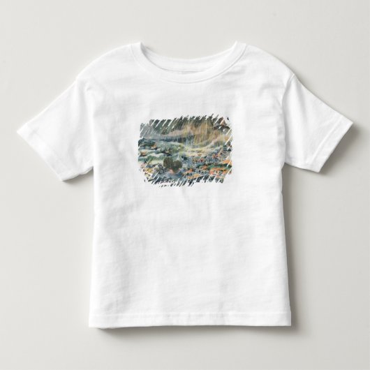 マルティニクの火山の噴火 トドラーTシャツ (正面)