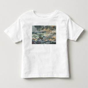 マルティニクの火山の噴火 トドラーTシャツ