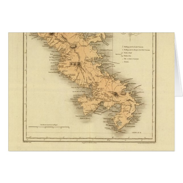 マルティニク (正面横)