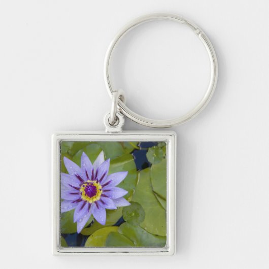 マルティニフランスのク、アンティル、西インディ、ブルー キーホルダー (正面)