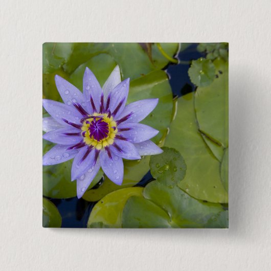 マルティニフランスのク、アンティル、西インディ、ブルー 缶バッジ (正面)