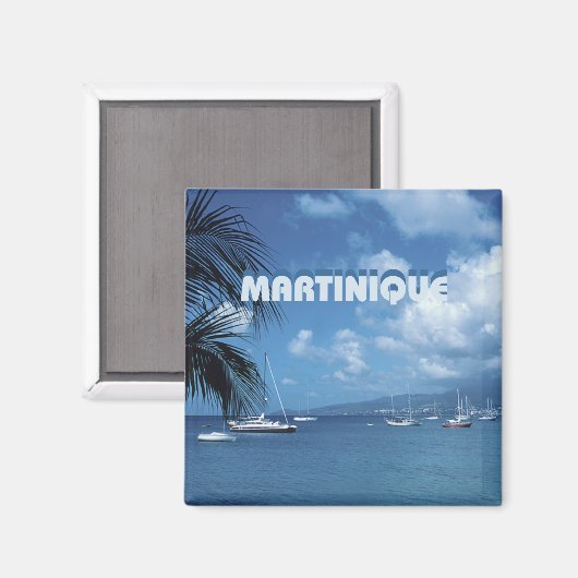 マルティニーク旅行写真お土産冷蔵庫用マグネット マグネット (正面/裏面)
