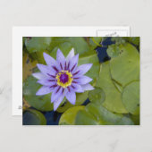 マルティフランスのニーク、アンティル、西インディ、青 ポストカード (正面/裏面)