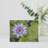 マルティフランスのニーク、アンティル、西インディ、青 ポストカード (スタンド正面)