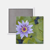 マルティフランスのニーク、アンティル、西インディ、青 マグネット (正面/裏面)