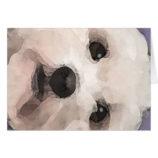 マルティポ (正面横)