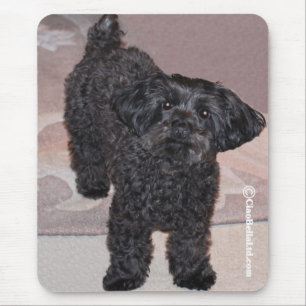マルティーニヨークシャーテリアPoo マウスパッド