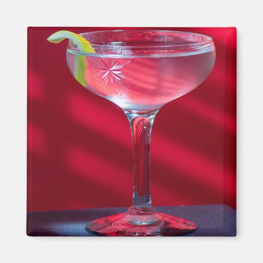 マルティーニ磁石 マグネット (正面)