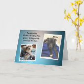 マルデンスアークミスターとミッシーサンキューカード カード (黄色い花)