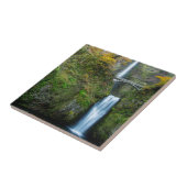 マルトナ滝,コロンビア峡谷の秋 タイル (側面)