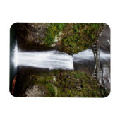 マルトノ秋ズインザコロンビアゴルジ マグネット (横)