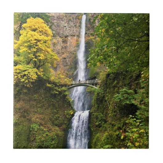 マルトマ滝ズ、コロンビアリバー峡谷、オレゴン タイル (正面)