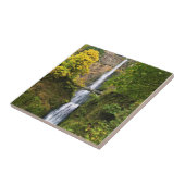 マルトマ滝ズ、コロンビアリバー峡谷、オレゴン タイル (側面)