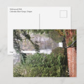 マルノマ滝、オレゴン州 ポストカード (正面/裏面)