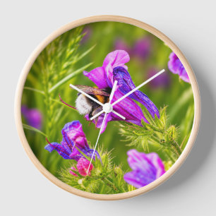 マルハナバチの花開く - 自然と昆虫の写真 壁時計