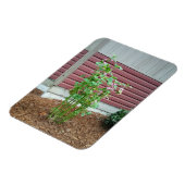 マルバ マグネット (左側)