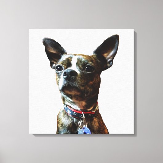 マルフマン キャンバスプリント (正面)