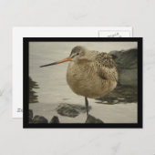 マルブド・ゴッドウィットのポストカード ポストカード (正面/裏面)