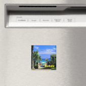 マルベラ磁石 マグネット (インサイチュ (食洗機))