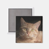 マルマレード磁石 マグネット (正面/裏面)