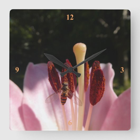 マルマレード・ホバーフライ – エピシルフスバルテータス スクエア壁時計 (正面)