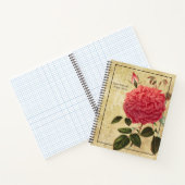 マルメゾンの思い出 薔薇 ノート (内部)