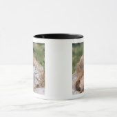 マルモタ・フラビベントリス，黄色い腹のマルモト島， マグカップ (中央)