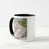 マルモタ・フラビベントリス，黄色い腹のマルモト島， マグカップ (正面左)