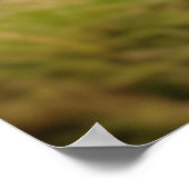 マルモットアニマルワイルド美しいフリーダムワイルドネスアート ポスター (角)