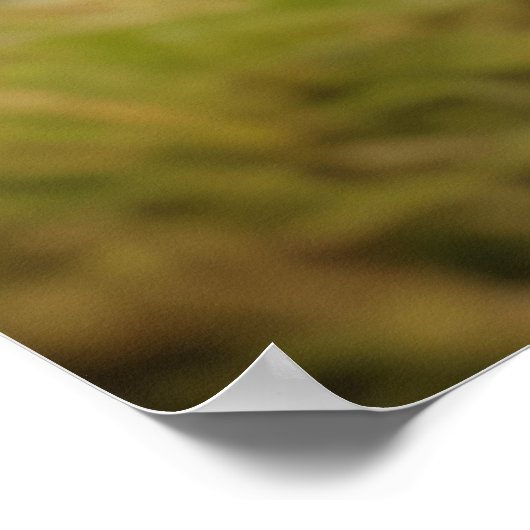 マルモットアニマルワイルド美しいフリーダムワイルドネスアート ポスター (角)