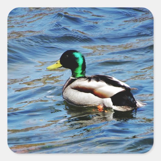 マルラド スクエアシール (正面)