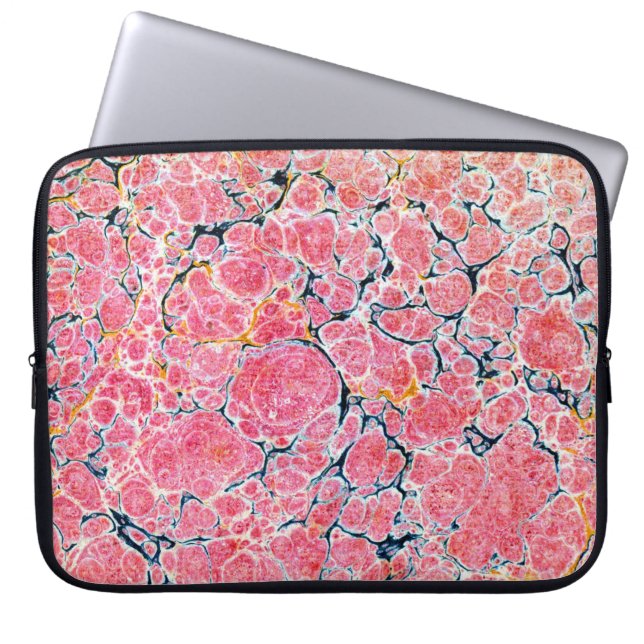 マルリカラフルービクトリアンド紙カバー ラップトップスリーブ (正面)