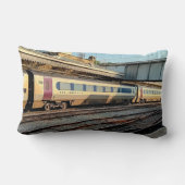 マルーンとベージュ列車 ランバークッション (裏面)
