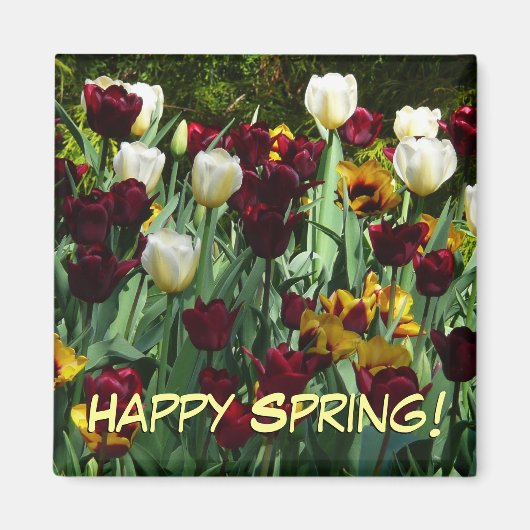 マルーンと黄色のチューリップカラフルフローラ マグネット (正面)