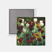 マルーンと黄色のチューリップカラフルフローラ マグネット (正面/裏面)