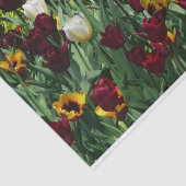 マルーンと黄色のチューリップカラフルフローラ 薄葉紙 (詳細)