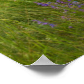 マルーンの鐘が穏やかなマルーン湖に反射 ポスター (角)