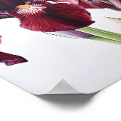 マルーンアイリスフラワーアートプリントポスター ポスター (角)