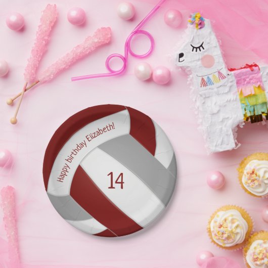 マルーングレー10代のバレーボールパーティー ペーパープレート (パーティー)