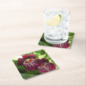 マルーンランIIエレガントフローラ スクエアペーパーコースター (インサイチュ)