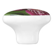 マルーンランIIエレガントフローラ セラミックノブ (側面)