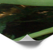 マルーンランIIエレガントフローラ ポスター (角)