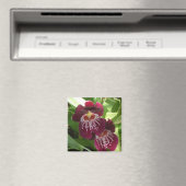 マルーンランIIエレガントフローラ マグネット (インサイチュ (食洗機))