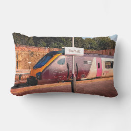 マルーン列車 アウトドアクッション